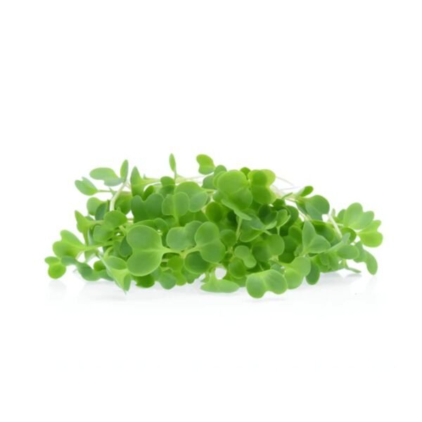 Cabbage Microgreen Seeds